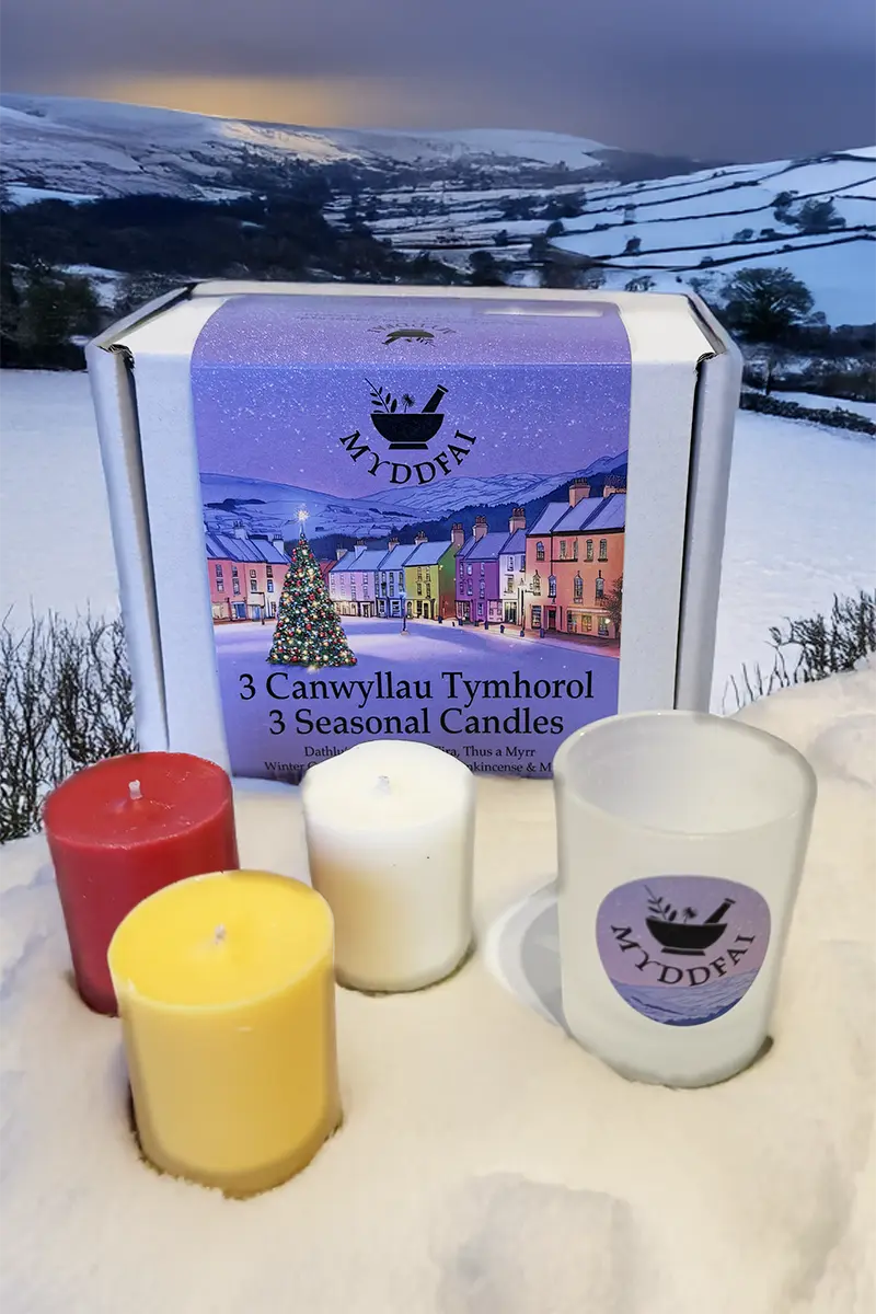 3 Seasonal Candles ~ 3 Canwyllau Tymhorol