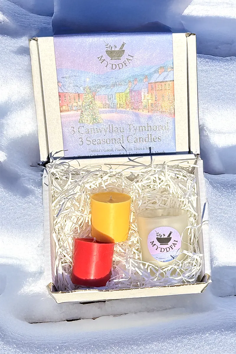 3 Seasonal Candles ~ 3 Canwyllau Tymhorol