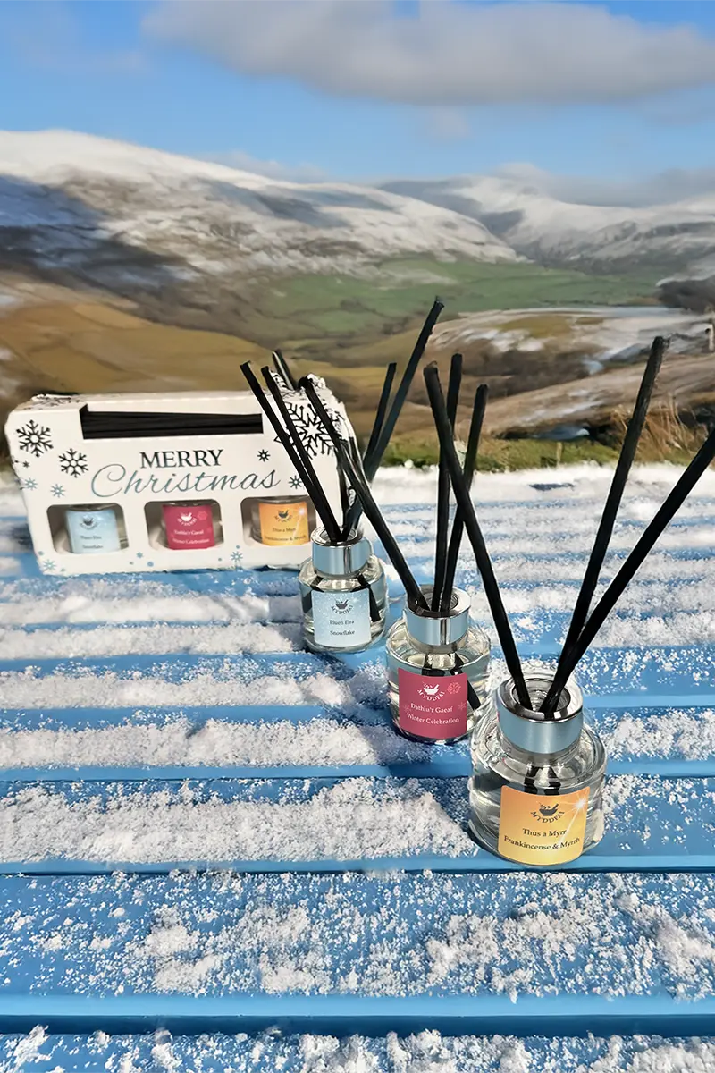 3 Seasonal Reed Diffusers - 3 Tryledwr Cyrs Tymhorol