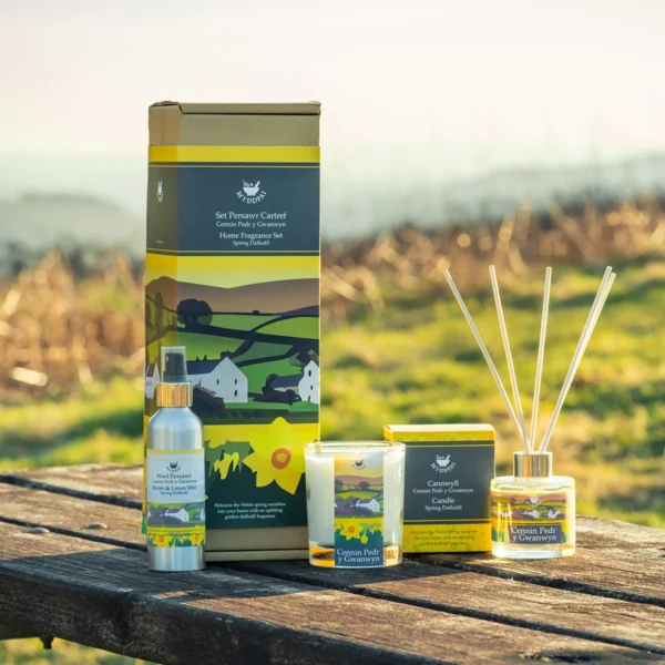 Home Fragrance Set Spring Daffodil