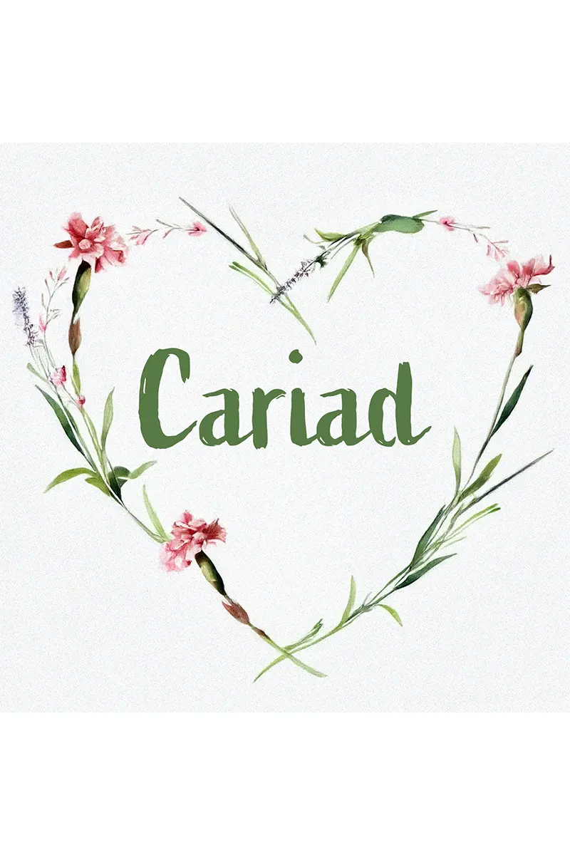 Cariad Card - Dydd Santes Dwynwen Ionawr / January 25 Valentine Day Chwefror / February 14