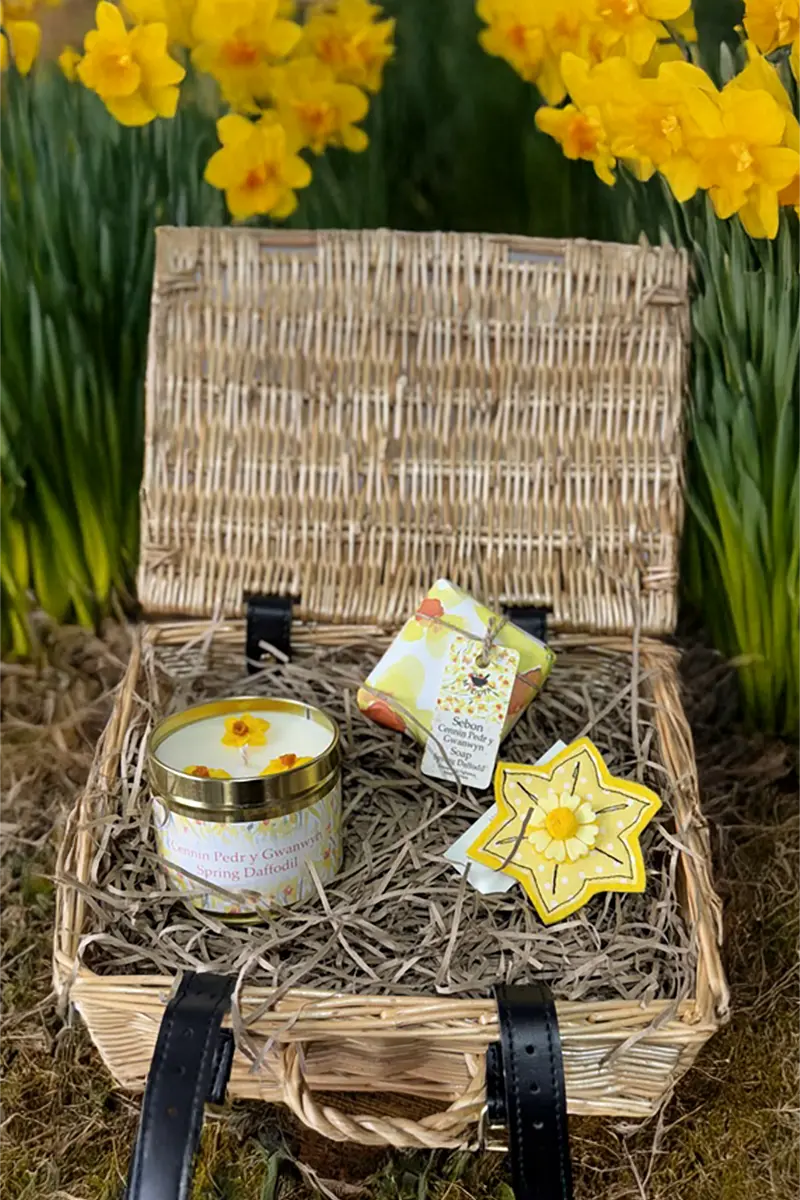 Daffodil Gift Hamper ~ Hamper Anrheg Cennin Pedr