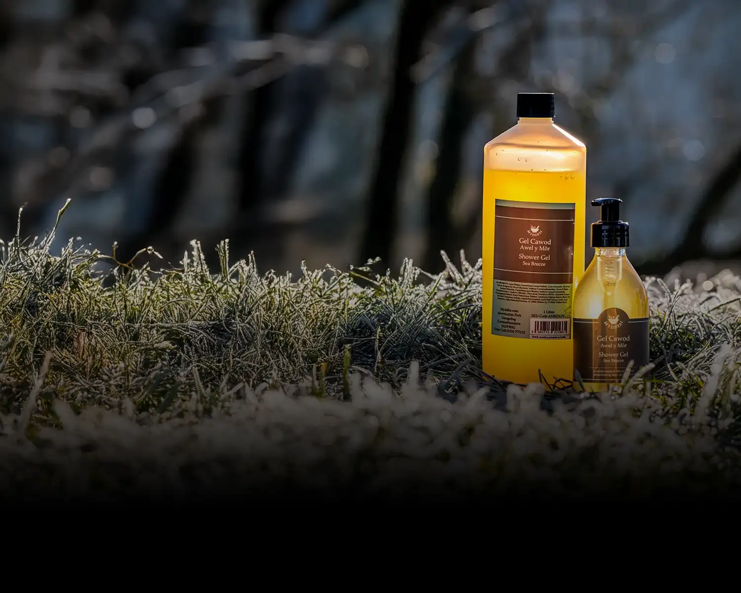 Refill, Reduce, Recycle & Save