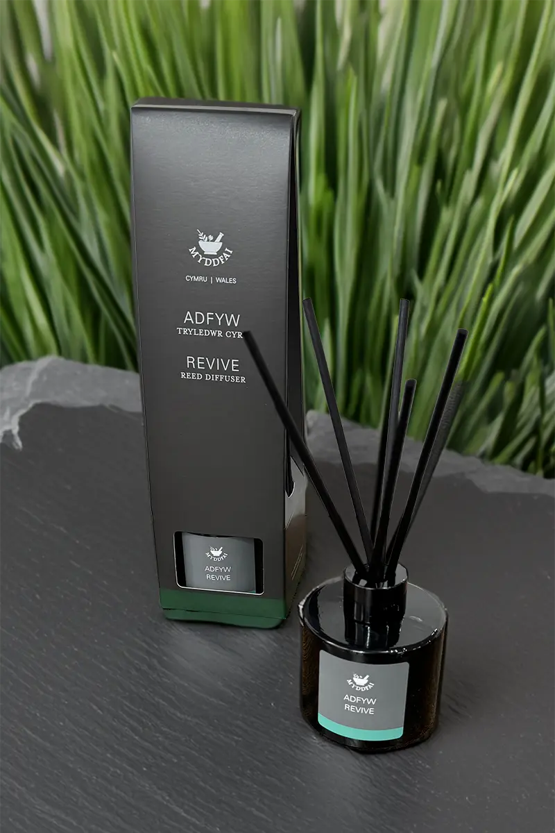 Reed Diffuser Revive ~ Tryledwr Cyrs Adfyw